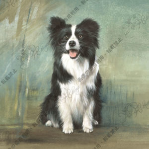 230 Jackson-ジャクソン