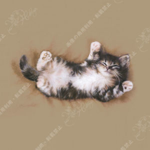 S19－寝そべり猫