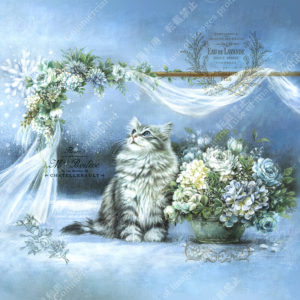 223 Fantaisie Ciel d'hiver -Samuel　ファンタジー　冬のそら -サミュエル