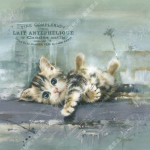 234 Jouet interactif pour chat　猫じゃらし　　Queueクー