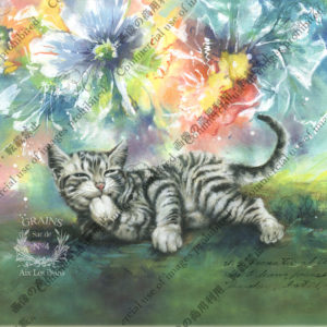 246 Rêve arc-en-ciel　虹色の夢　Pamélaパメラ