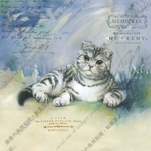 247 Colline de lavande　ラベンダーの丘　Francisフランシス