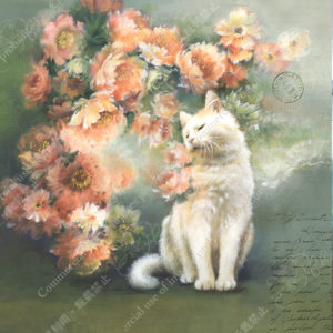 253 Parc floral-Rose sauvage野ばら　Agnèsアニエス