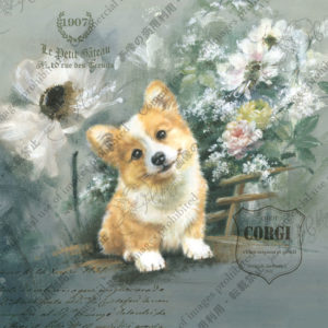 256 Un bon ami―なかよし Patrick パトリック