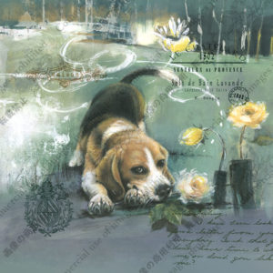 257 Mignon mendiantーかわいいおねだり　Roch ロック