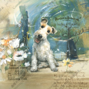 259 Jour ensoleillée chaleureuseーぽかぽか陽気 Stella ステラ