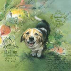 263　Le bonheur vient quand tu riez-笑う門には福来る　Jean　ジャン