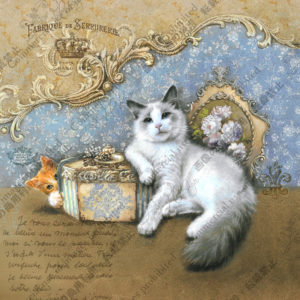 298　Cache-cache mignon Felix＆Loki 　かわいいかくれんぼ　フェリクス＆ロキ　