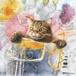 302 Moments de surprise　Laika　驚きの瞬間　レカ