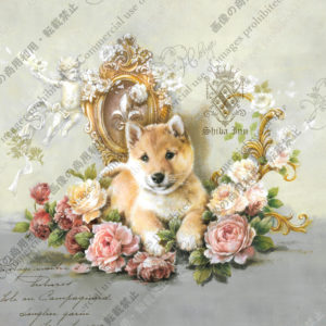 305　Dans un rêve　Caramel　夢の中　カラメル