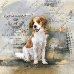 306　Superstar hilarante　Eden　陽気なスーパースター　エデン