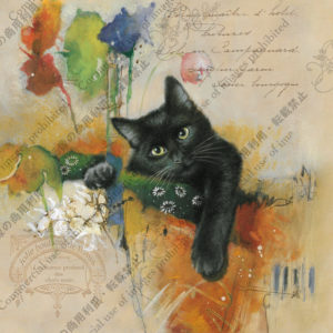 307 　Légende noire　Chocolat　黒の伝説　ショコラ