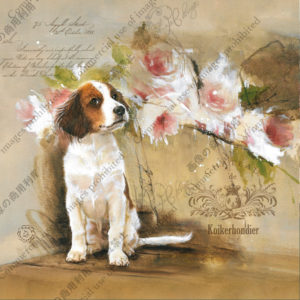 308　Anniversaire chanceux　Zoé　ラッキー記念日　ゾエ