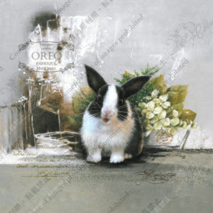 311 Magie noire et blanche 白黒の魔法