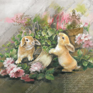 313 Jardin de lapins うさぎのお庭