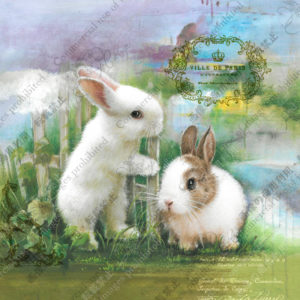 315 L’histoire de la brise fraîche 涼風の物語