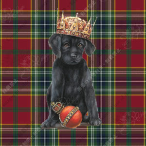 042　Trois des Retrivers　BEN(black)