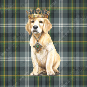 043　Trois des Retrivers　SUN(golden)