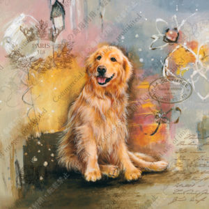 318　Sentez l'odeur du vent　Bruno　風のにおいを感じて　ブリュノ