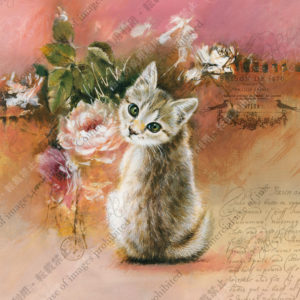 319　Le secret des yeux　Amélie　瞳の秘密　アメリ