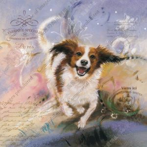 321 Poésie de la course Zizou 疾走のうた ズズー