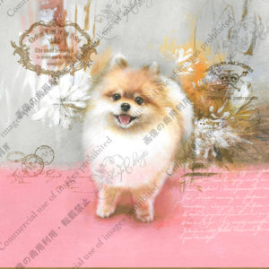 322　Flocon au soleil　Rémy　陽だまりの綿毛　レミー