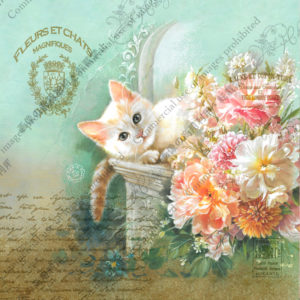 323　Éclat de Menthe　Chérie　ミントのきらめき　シェリ