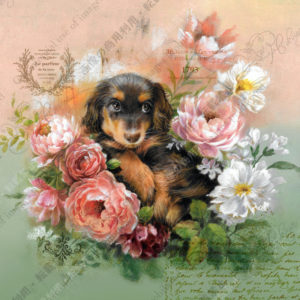 326　Le bouquet du teckel Baguette　　ダックスフンドの花束　バケット