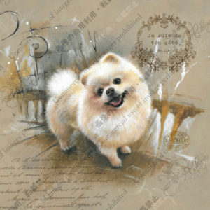 333　Souvenir moelleux      ふわふわの記憶