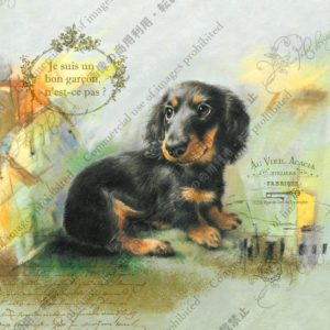 334　La pause d’Espresso     エスプレッソの昼休み