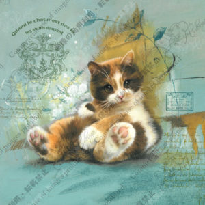 337　En plein toilettage　ただいま毛づくろい中