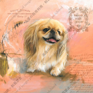 338　Un tendre amour rose 　桃色の片思い