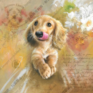 339　L’heure des léchouilles　ペロペロタイム